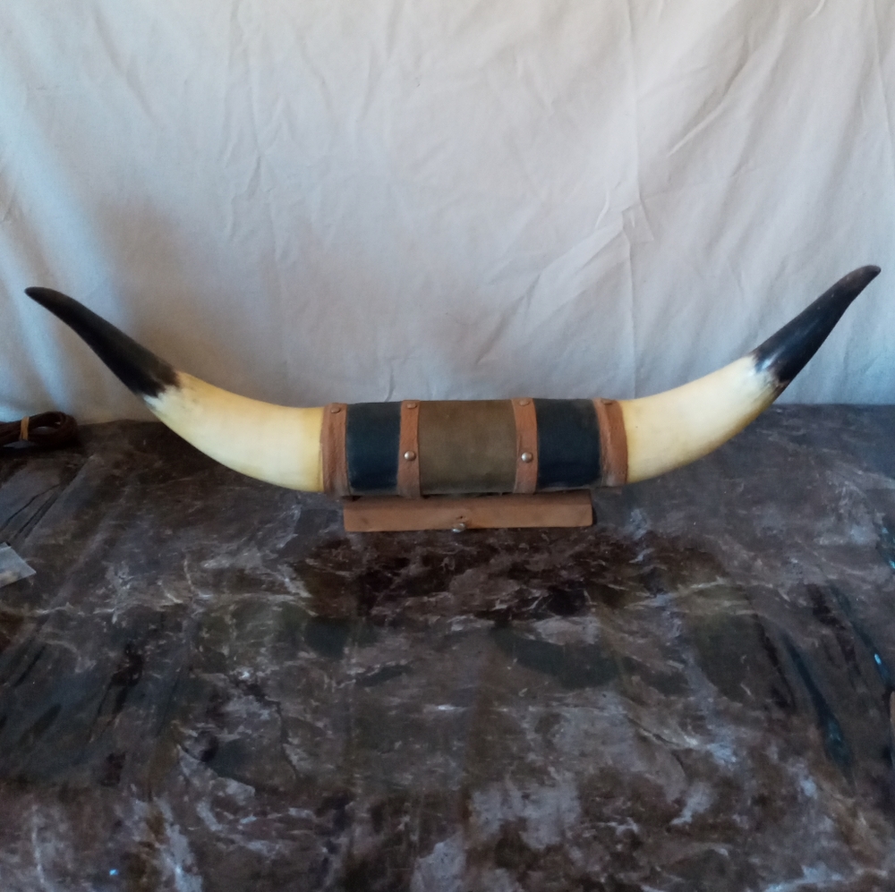 Mounted Bull Horns